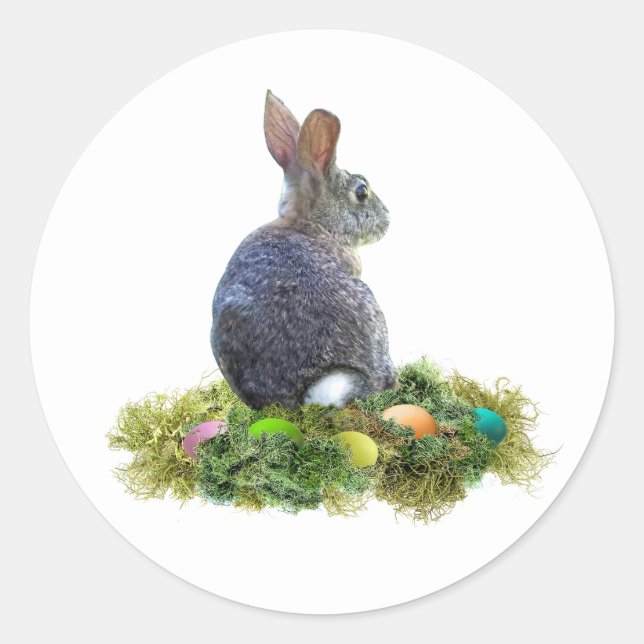 Bunny with Coloured Eggs in Lichen Classic Round Sticker (Front)