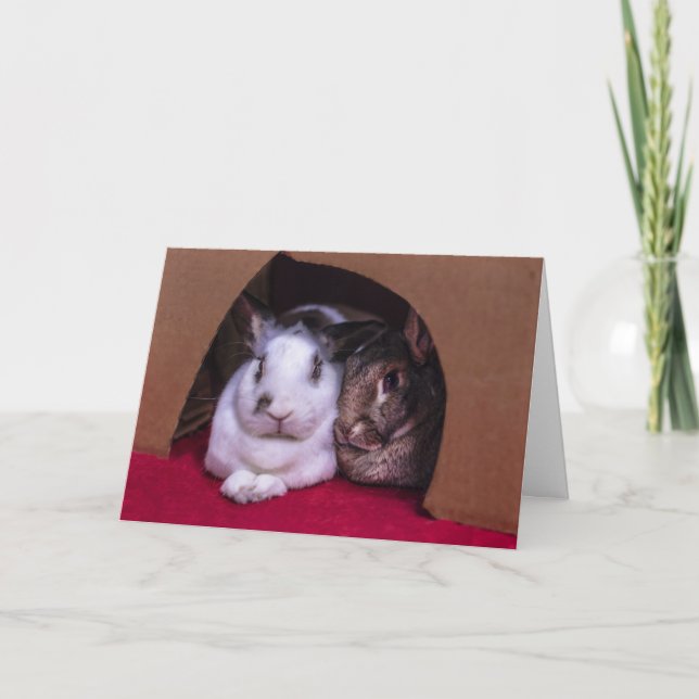 BunnyLuv Valentine's Day card (from her) (Front)