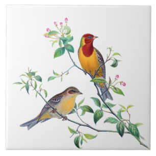 Bunting Birds on Branches Tile