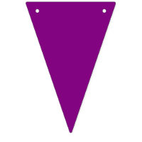 Bunting: Triangular - Multicoloured