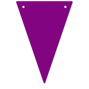 Bunting: Triangular - Multicoloured Bunting