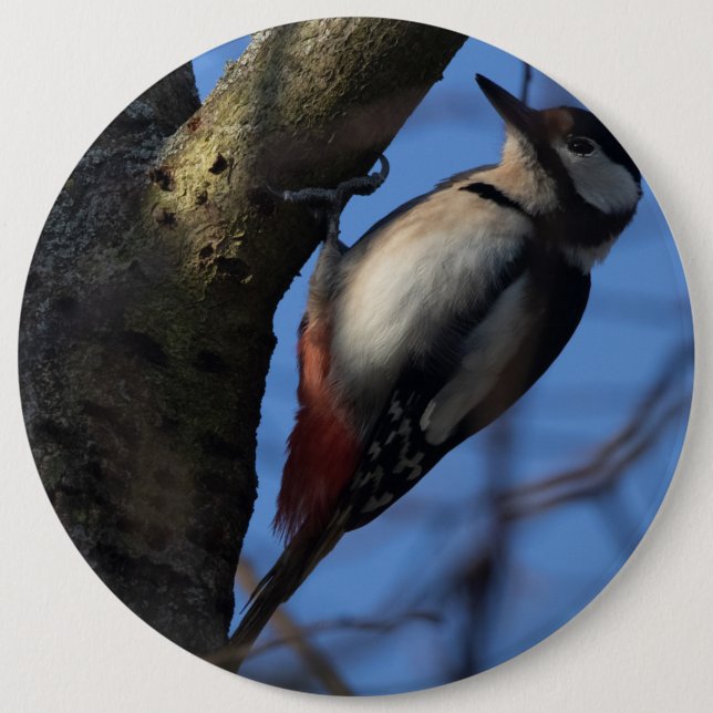 Buntspecht 6 Cm Round Badge (Front)