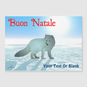Buon Natale - Arctic Fox