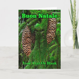 Buon Natale - Cones And Needles Holiday Card