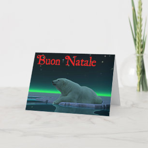 Buon Natale - Ice Edge Polar Bear Holiday Card
