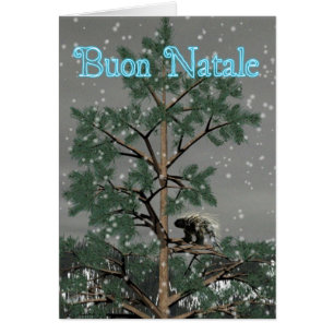 Buon Natale - Porcupine In A Pine Tree
