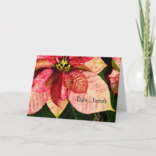 Buon Natale - Red and Gold Poinsettia Card (Front)