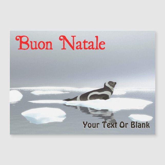 Buon Natale - Ribbon Seal (Front)