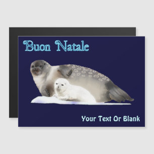 Buon Natale - Ringed Seal