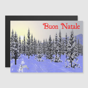 Buon Natale - Winter Solstice
