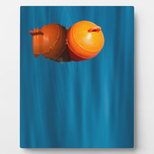 Buoy Plaque