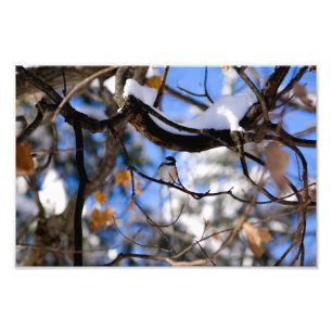 burb in twee photo print