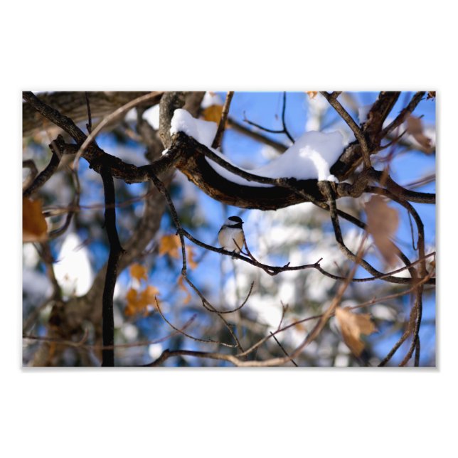 burb in twee photo print (Front)