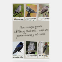 Burbank Pond Bird Collage Poster –
