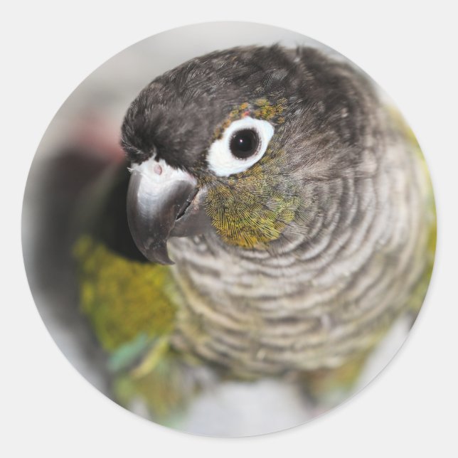 Burbel Classic Round Sticker (Front)