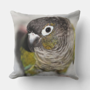 Burbel Cushion