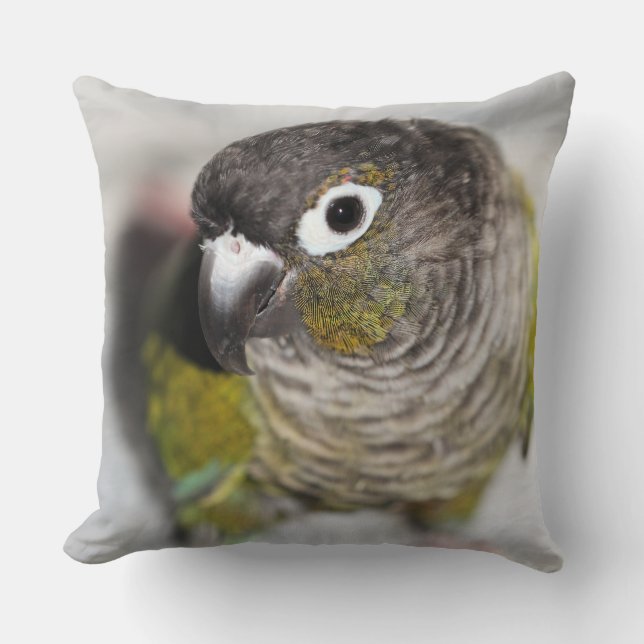 Burbel Cushion (Front)