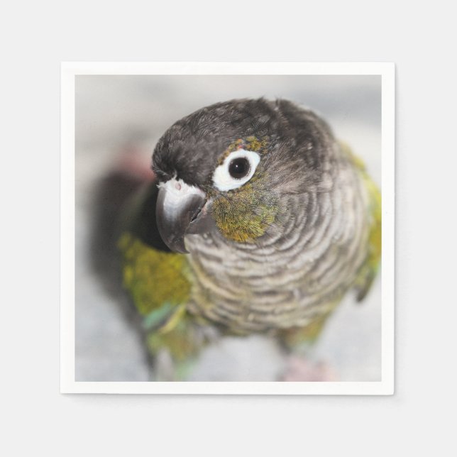 Burbel Napkin (Front)