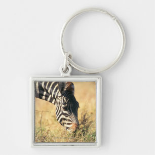 Burchell's zebra 2 key ring
