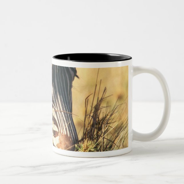 Burchell's zebra 2 Two-Tone coffee mug (Right)