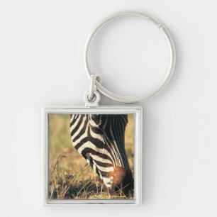 Burchell's zebra key ring