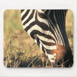 Burchell's zebra mouse mat