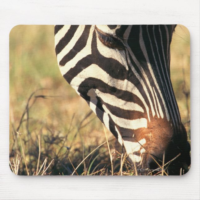 Burchell's zebra mouse mat (Front)