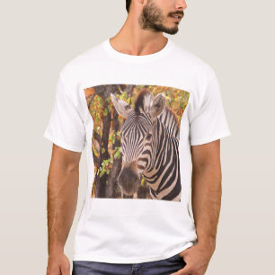 Burchell's Zebra with changing seasons fall leaves T-Shirt