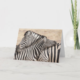 Burchell's Zebras Necking Card