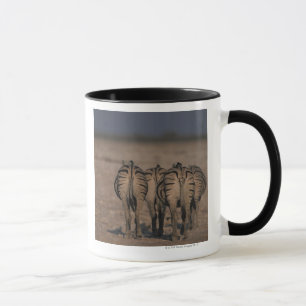 Burchell's Zebras Walking Mug