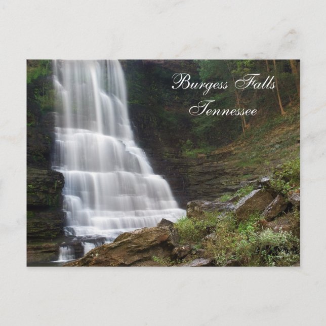 Burgess Falls TN  Postcard (Front)