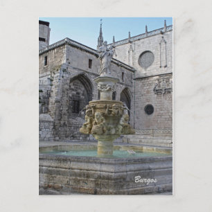 Burgos Cathedral Fountain postcard