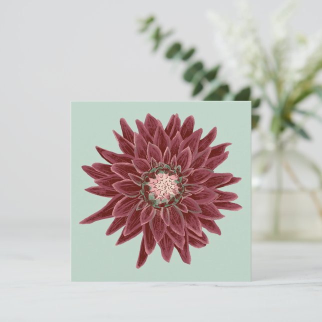 Burgunder-Dahlie (Standing Front)