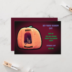 Burgundy and Orange Pumpkin Spooky kitten Invitation