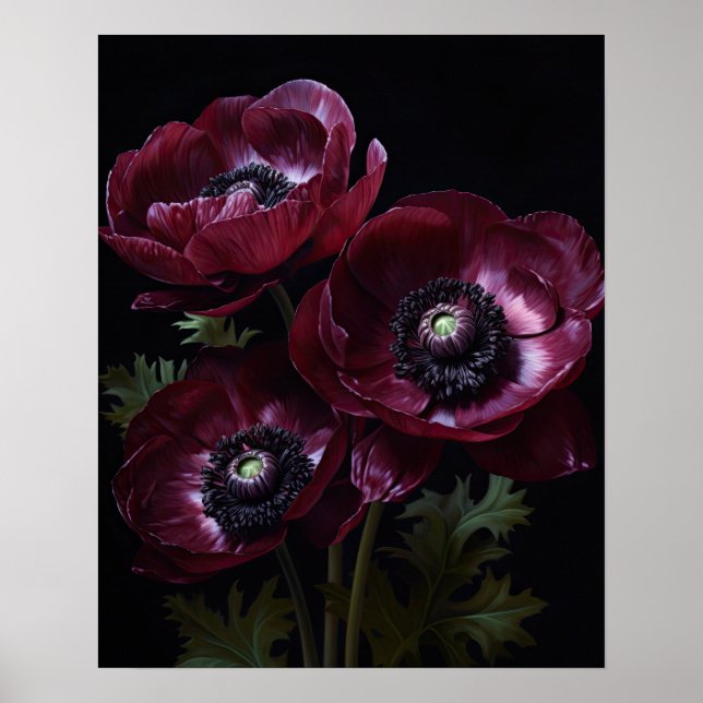 Burgundy Anemone Flowers Art Print Poster (Front)