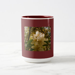 Burgundy Apple Blossom Design Two-Tone Coffee Mug