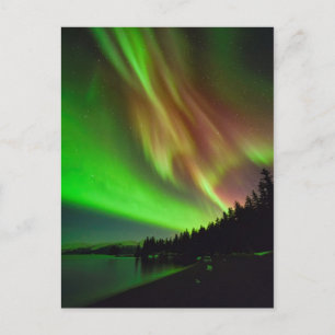Burgundy Aurora Postcard