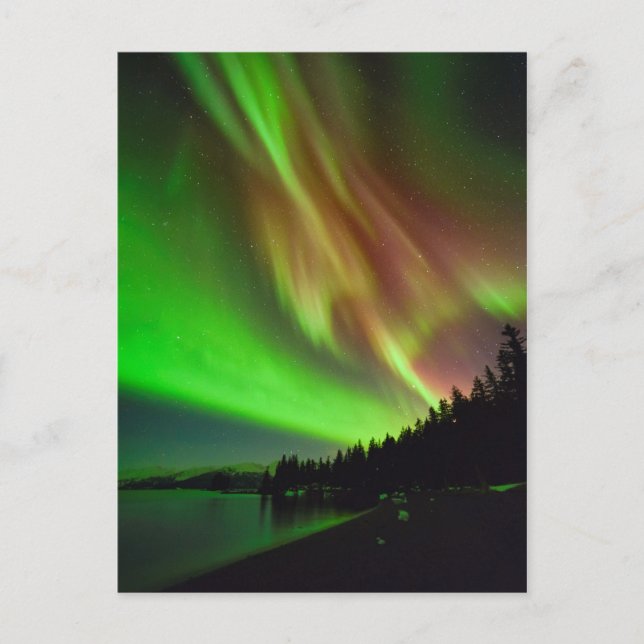 Burgundy Aurora Postcard (Front)