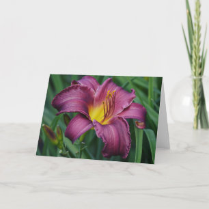 Burgundy Day Lily Blank Note Card