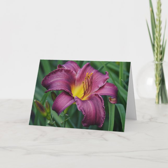 Burgundy Day Lily Blank Note Card (Front)