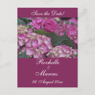 Burgundy Dream Hydrangea Announcement Postcard
