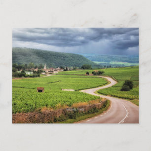 Burgundy, France vineyards, Postcard