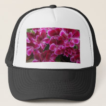 Burgundy Geranium