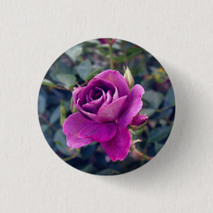 Burgundy Iceberg Rose #2 Button