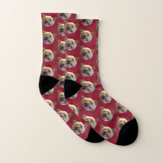 Burgundy Personalised Pet Photo Christmas Present Socks