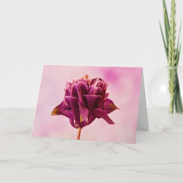 Burgundy Pink Columbine Card (Front)