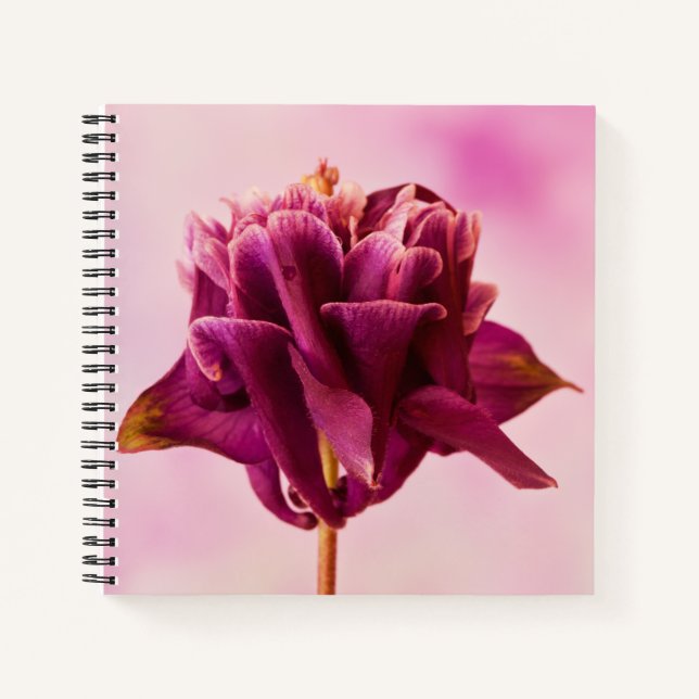 Burgundy Pink Columbine Notebook (Front)