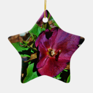 Burgundy Pink Lenten Rose Ceramic Tree Decoration