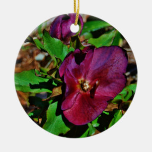 Burgundy Pink Lenten Rose Ceramic Tree Decoration
