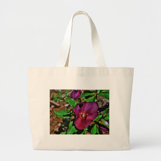 Burgundy Pink Lenten Rose Large Tote Bag (Front)